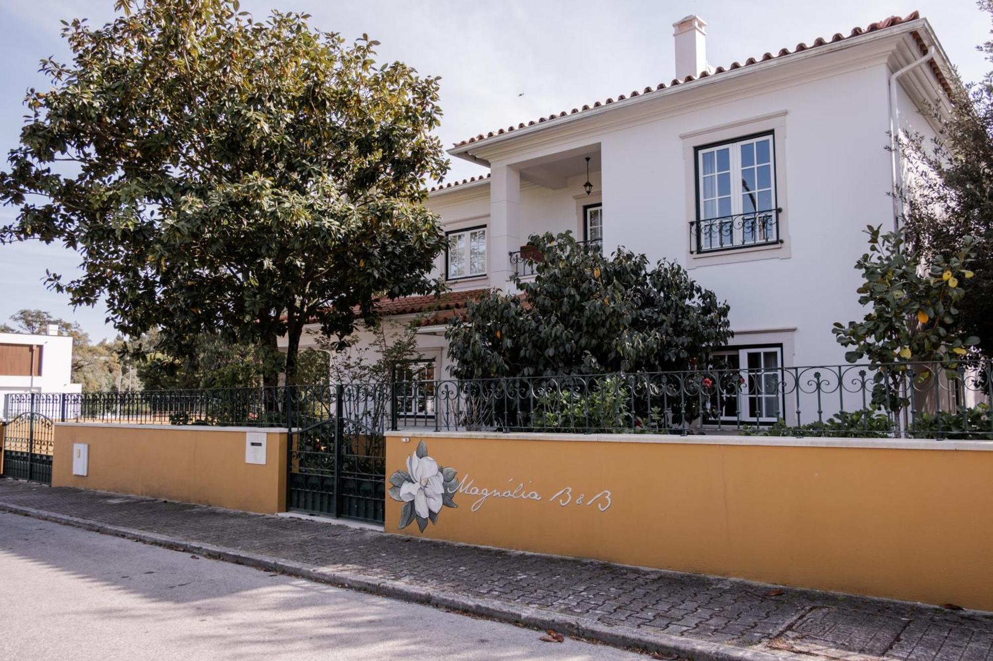 Magnolia B&B Leiria Exterior foto